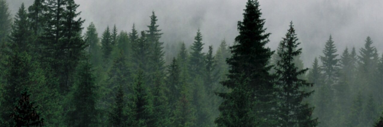 OsmanLind's profile banner image