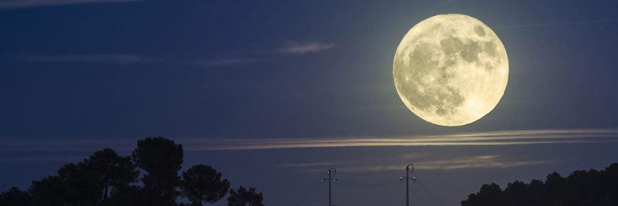 _space_head's profile banner image