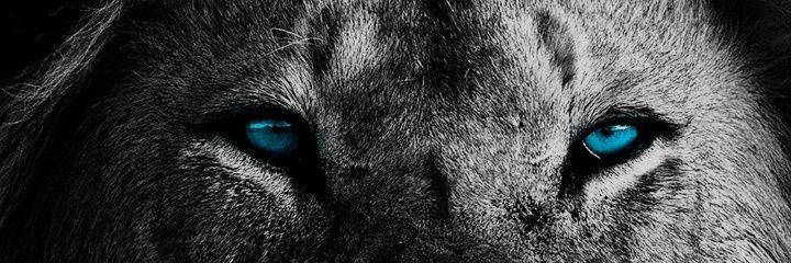 Akinsoluf banner