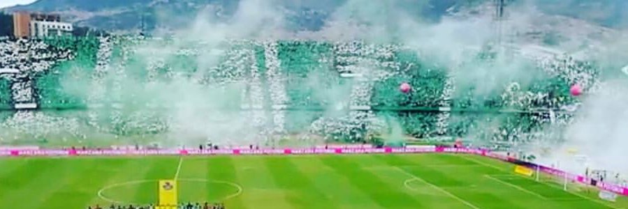 ANDRES ROTTEN banner