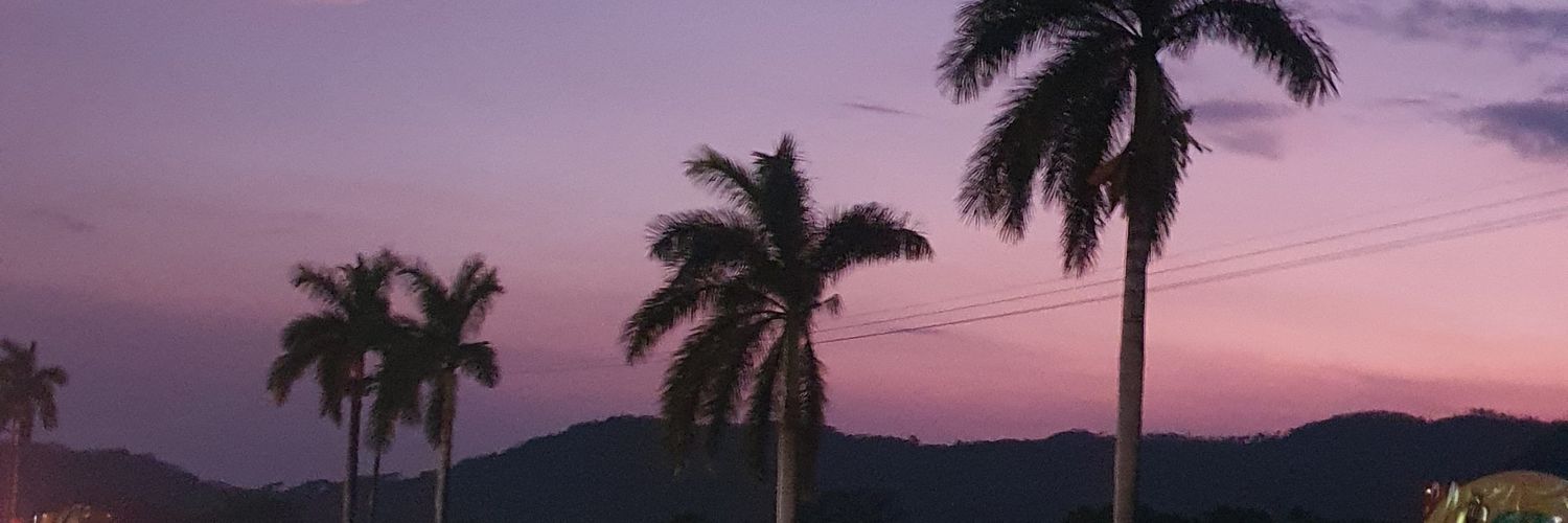 _jeniju's profile banner image