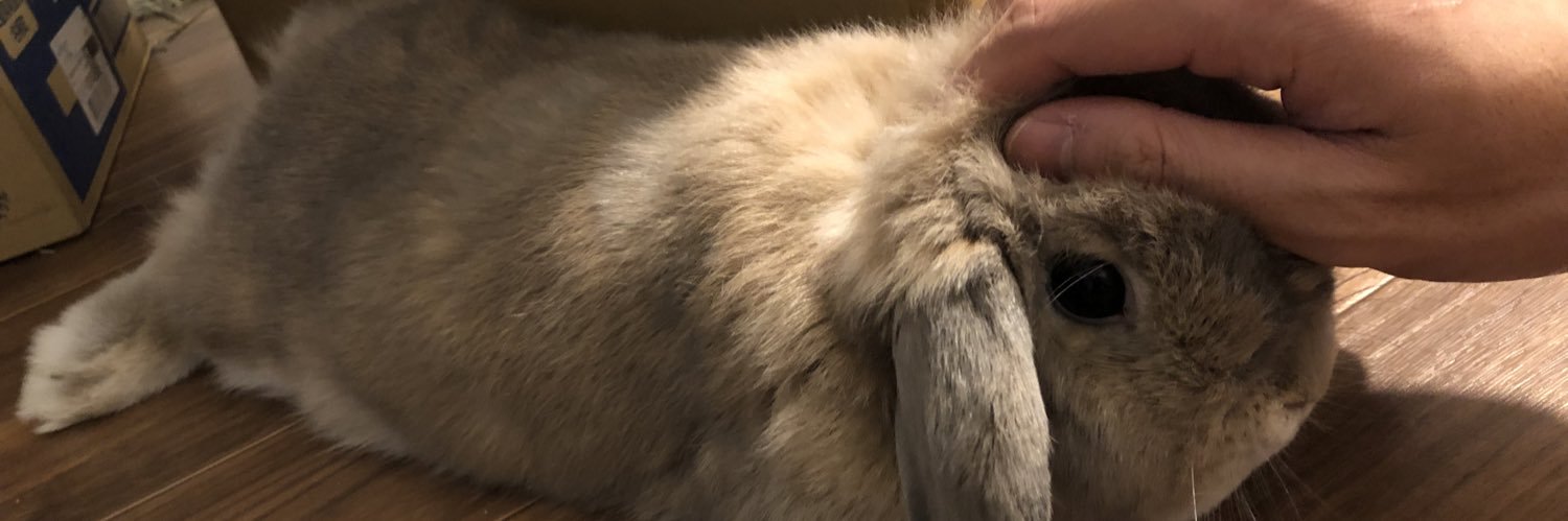 why_s_19's profile banner image