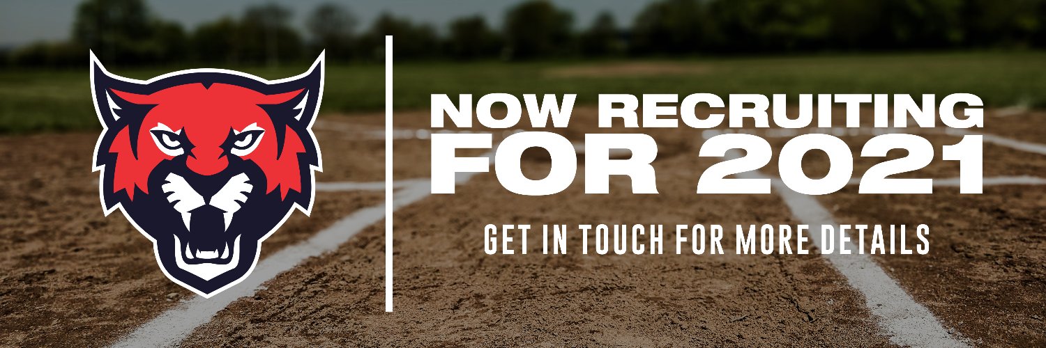 Tonbridge Baseball banner