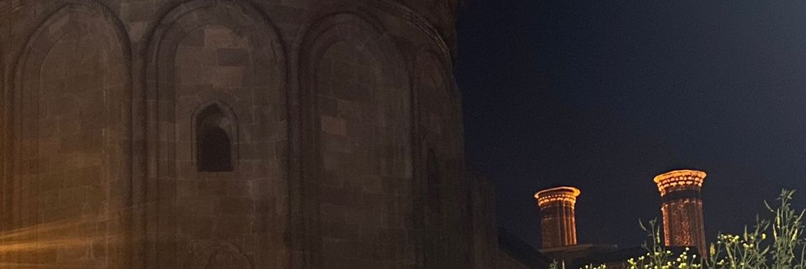 leyla banner