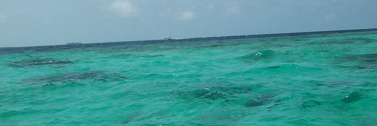 bibarsi's profile banner image
