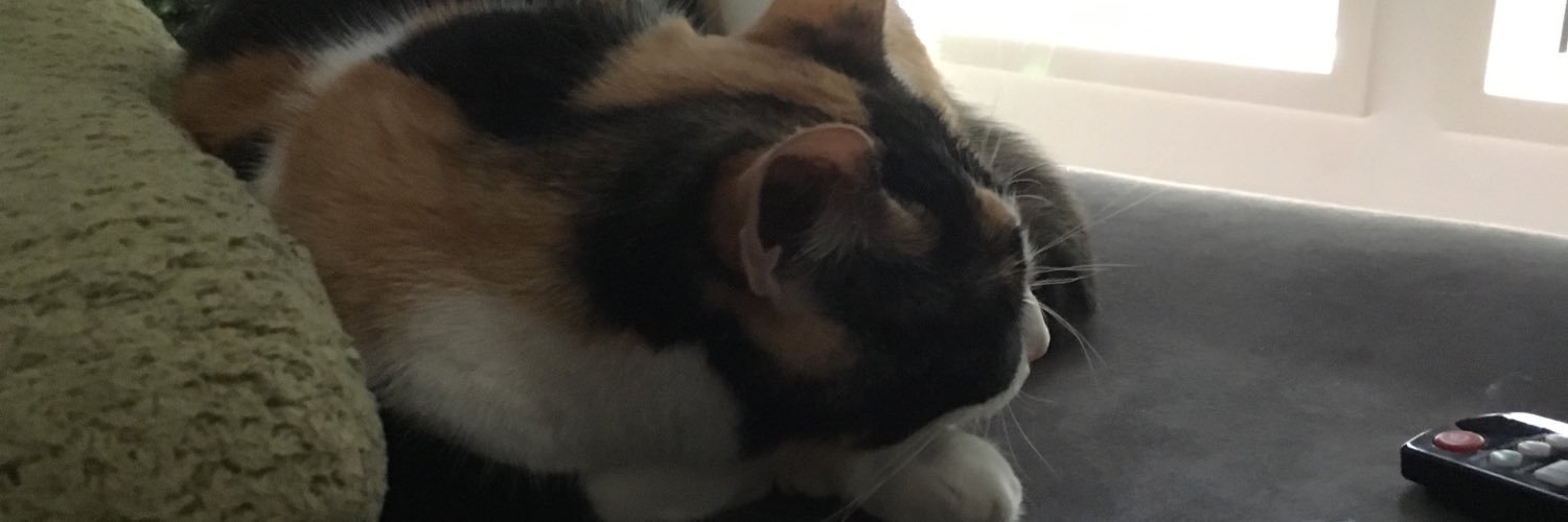 reed_darcy's profile banner image