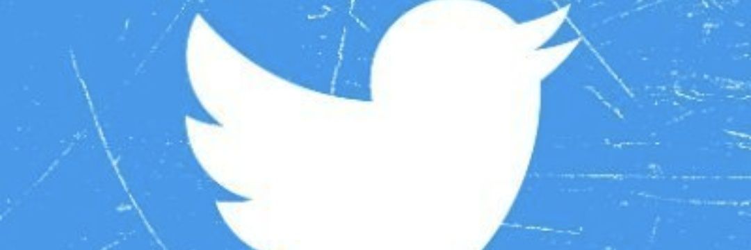 Ste Tierney🐝🏴󠁧󠁢󠁥󠁮󠁧󠁿 banner