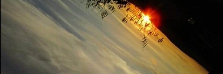 tanyblack34's profile banner image