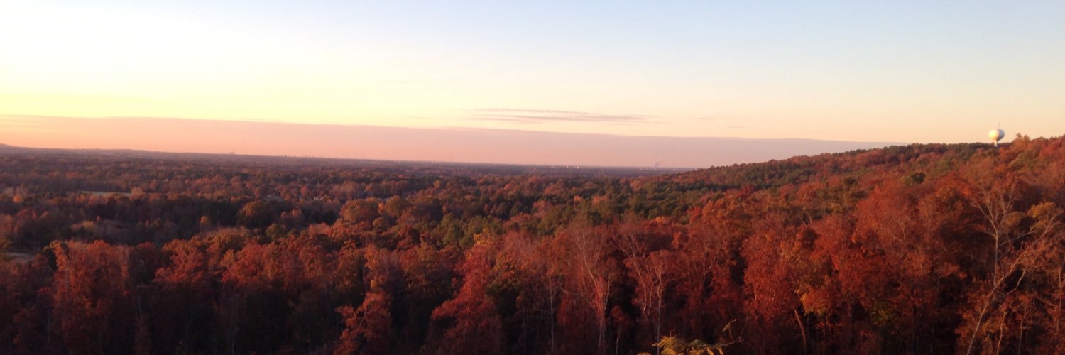 emilymorris81's profile banner image