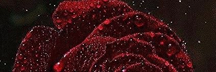 Tupsak_n's profile banner image