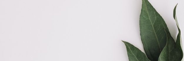bydmla's profile banner image