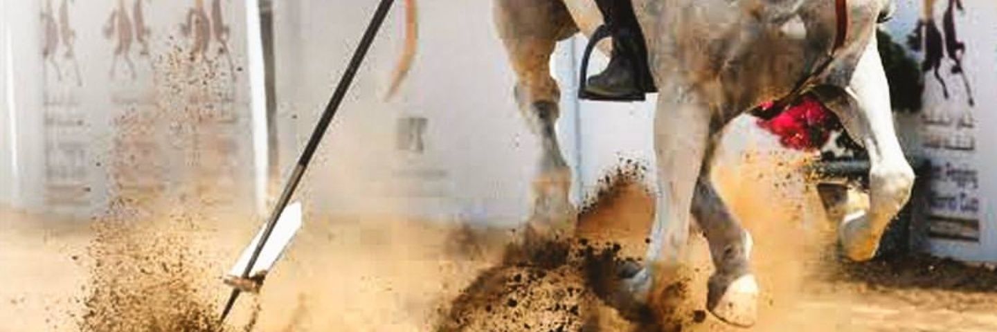 Itpf_info's profile banner image