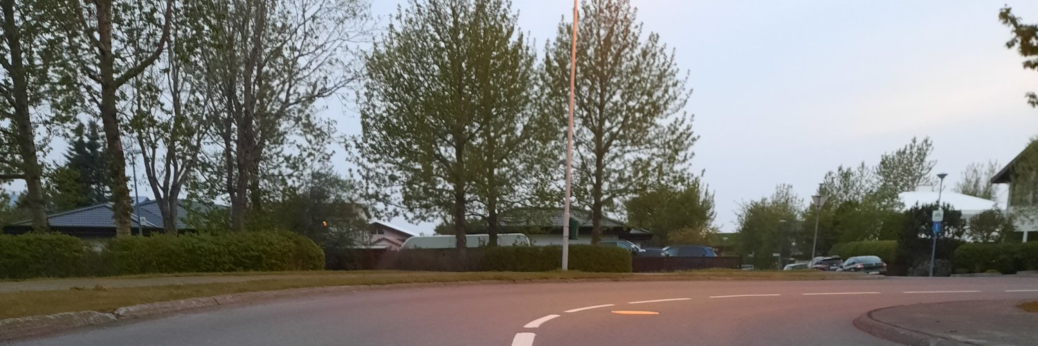 Atli Frej banner