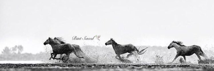 Bint_Saeed7's profile banner image