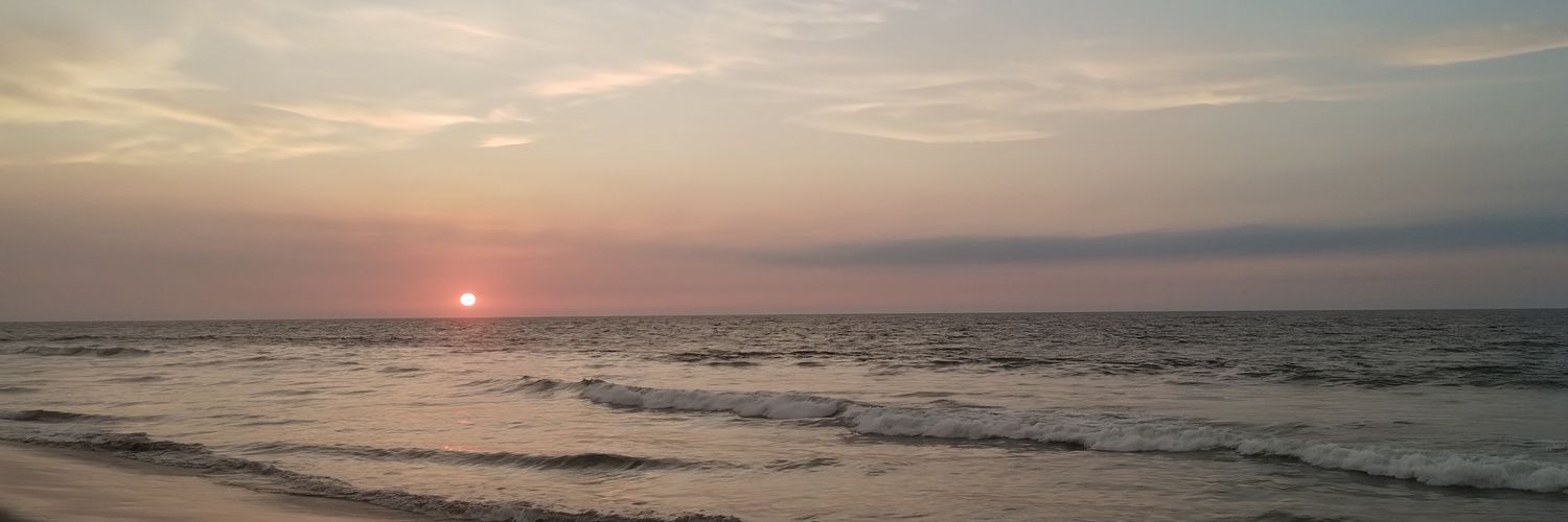 D_Fowks's profile banner image