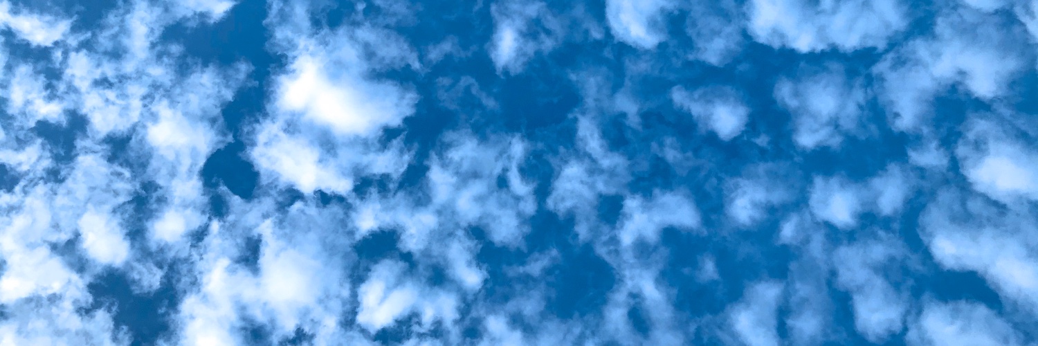 seanclute's profile banner image