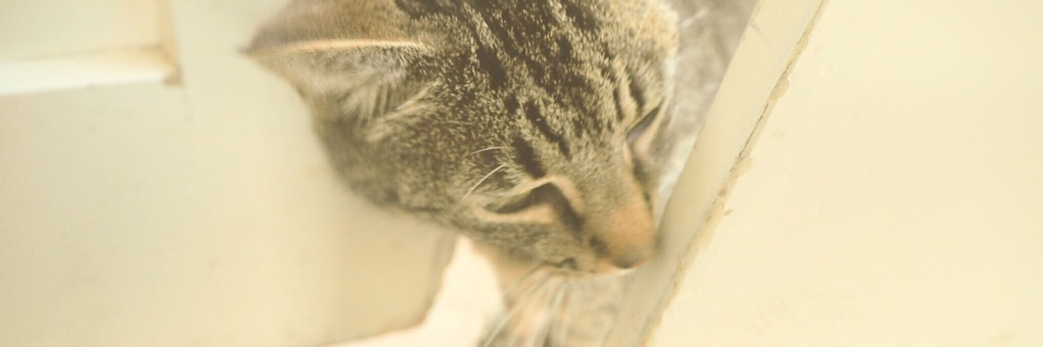 karippp_'s profile banner image