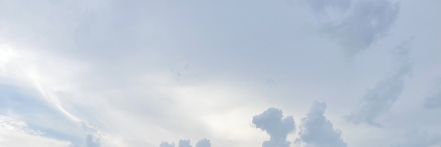 alyssa___payne's profile banner image
