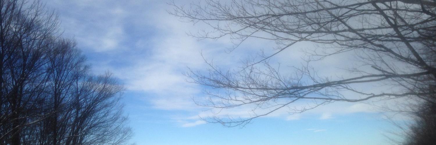 LadyHarple's profile banner image