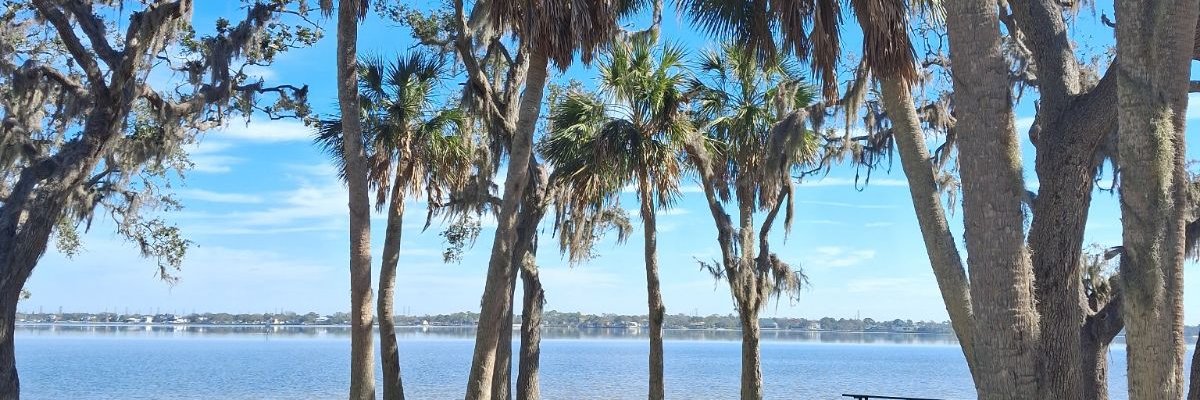 SissonSteph's profile banner image