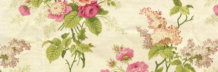 Cisforcookie's profile banner image