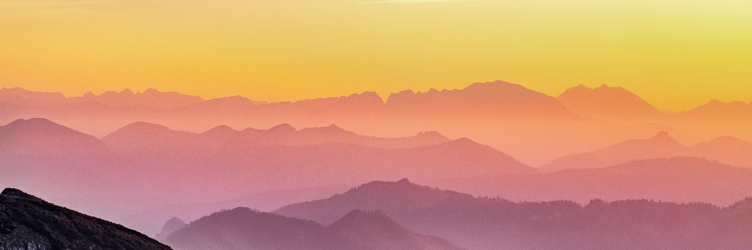 rosieschofield1's profile banner image