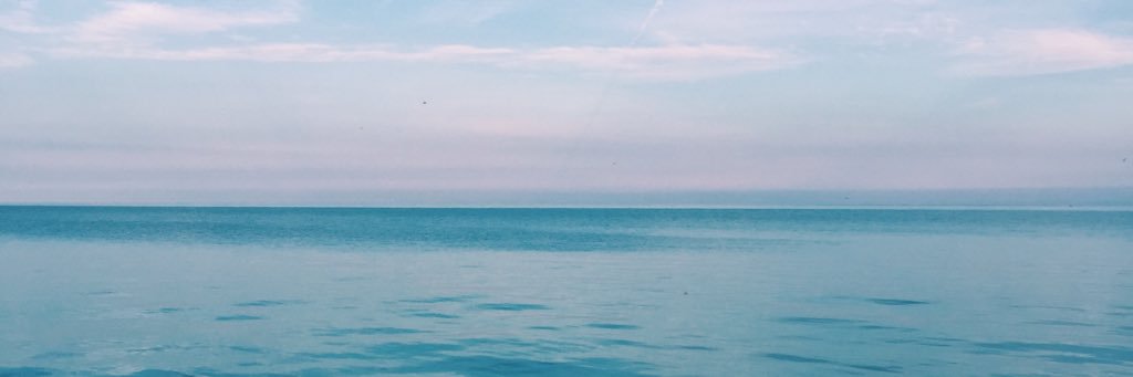 MaddiePaddock's profile banner image