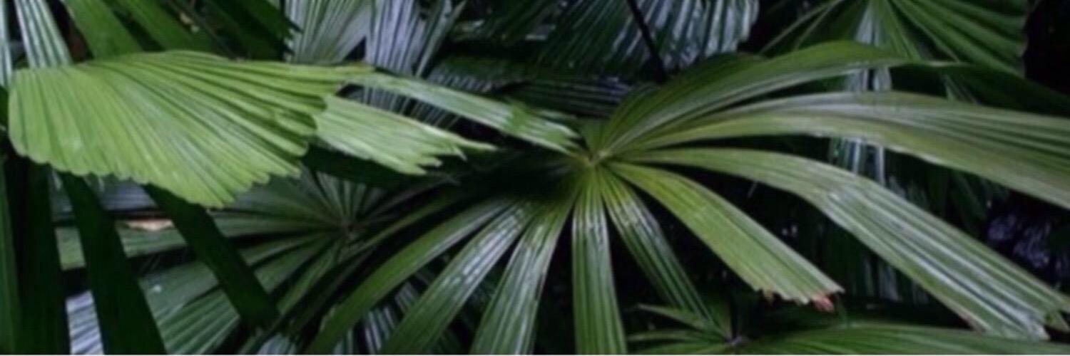 o2lvines's profile banner image