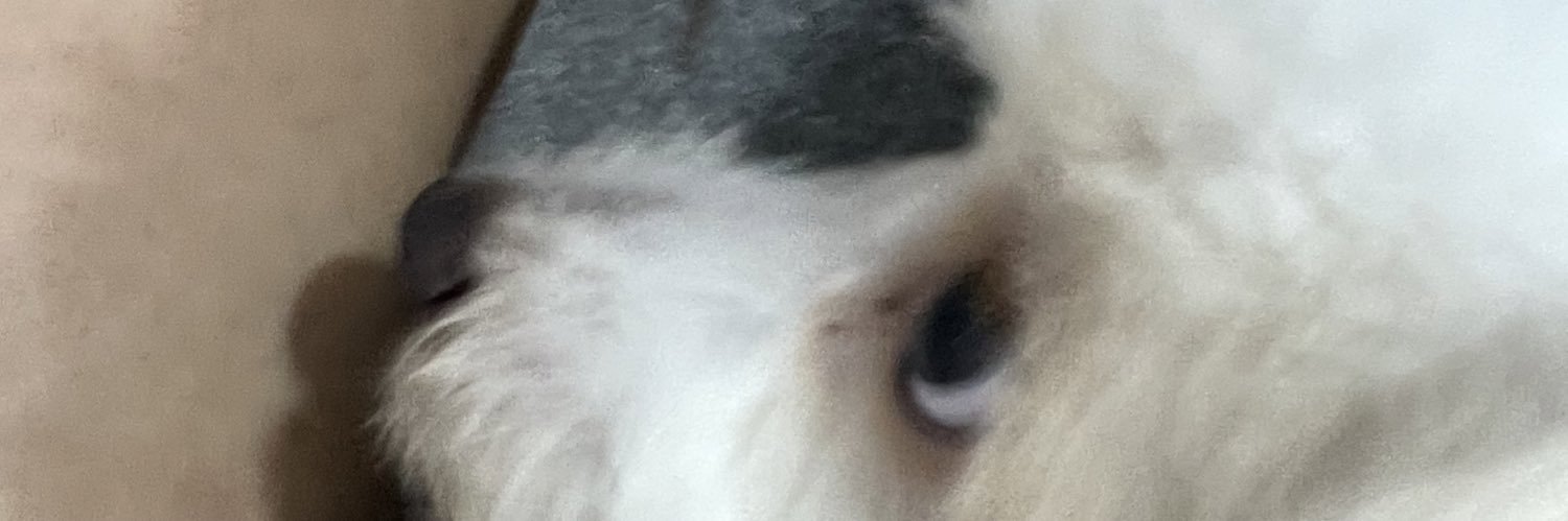 raphael_merced_'s profile banner image