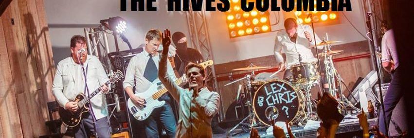 TheHivesCol's profile banner image