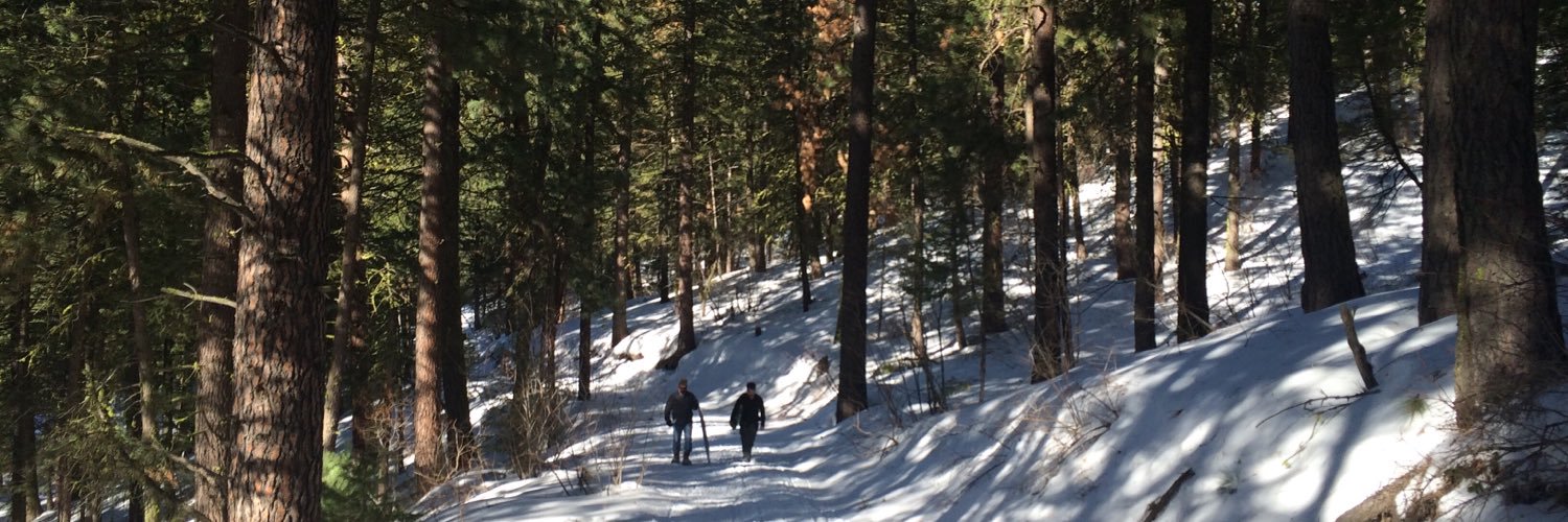 EmmaKielman's profile banner image