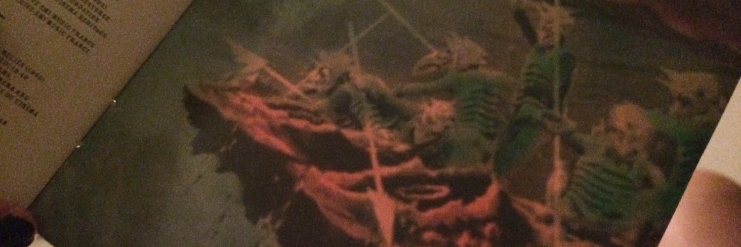 noecabrera25's profile banner image