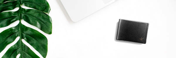 WooletCo Profile Banner