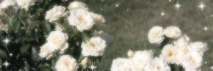 jazzie 🔮 banner