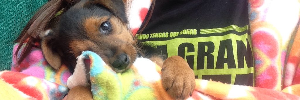 Nadia 💚 banner