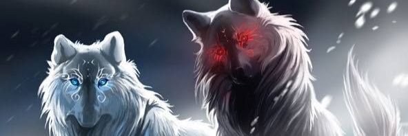 _Moon_MSS's profile banner image