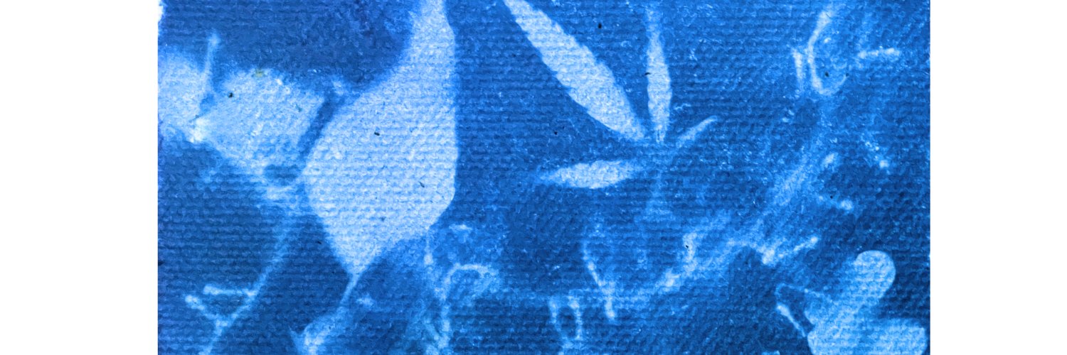 MMosaddeque's profile banner image