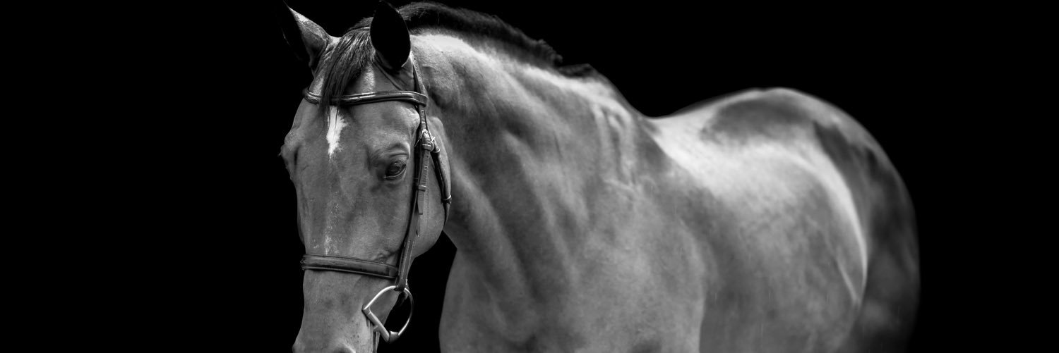 GerlacherM's profile banner image