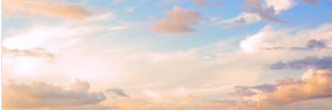Nicolettex0's profile banner image