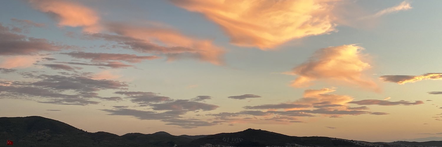 berrincet's profile banner image