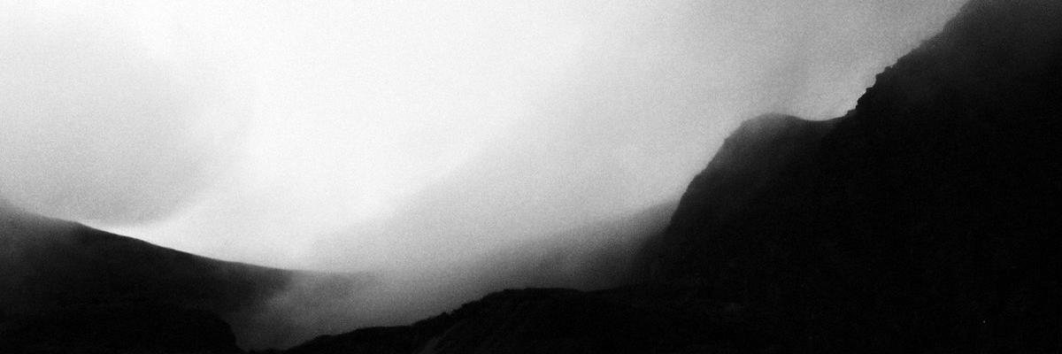 bugsvaniiii's profile banner image