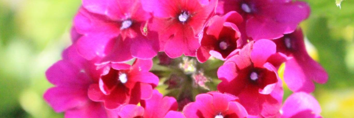 Kt_Lunsford's profile banner image