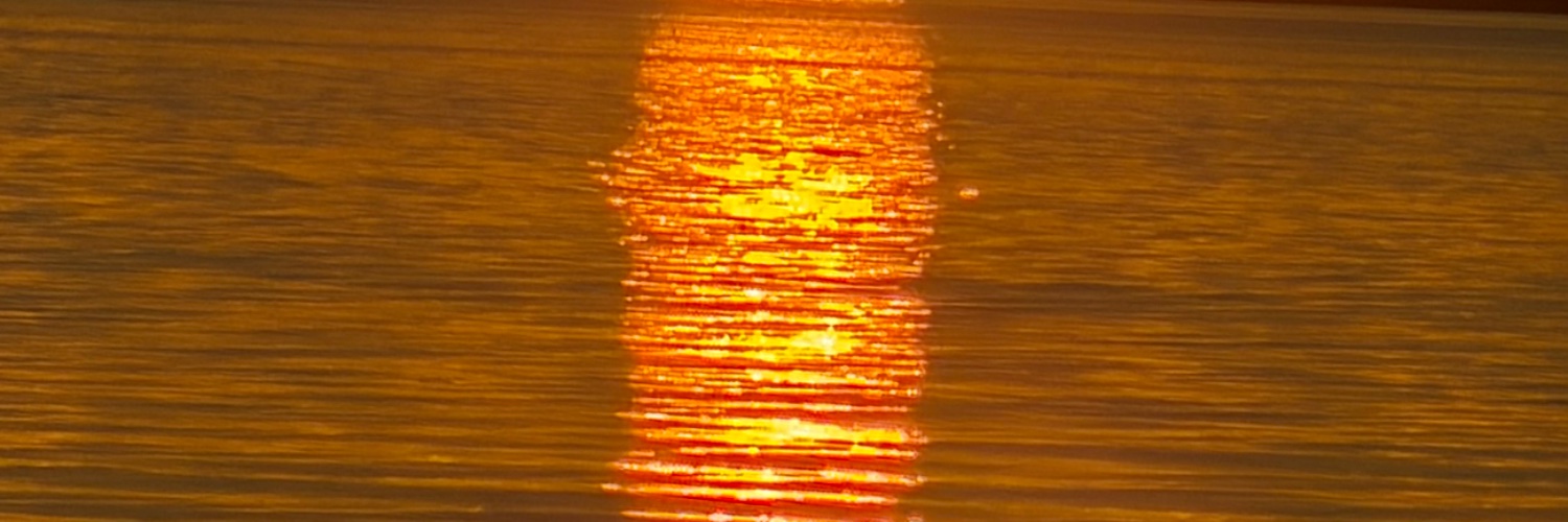 xxx banner