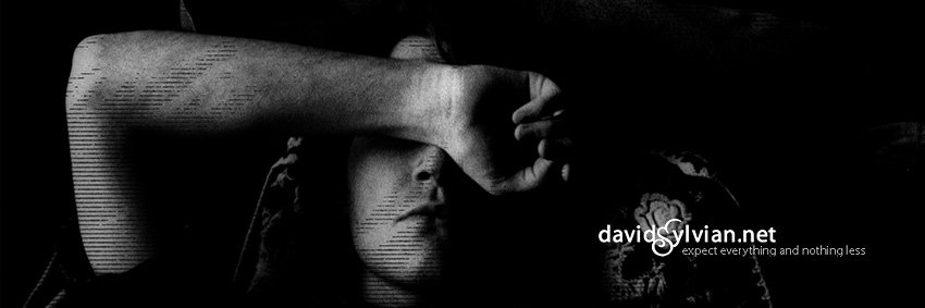 davidsylviannet's profile banner image