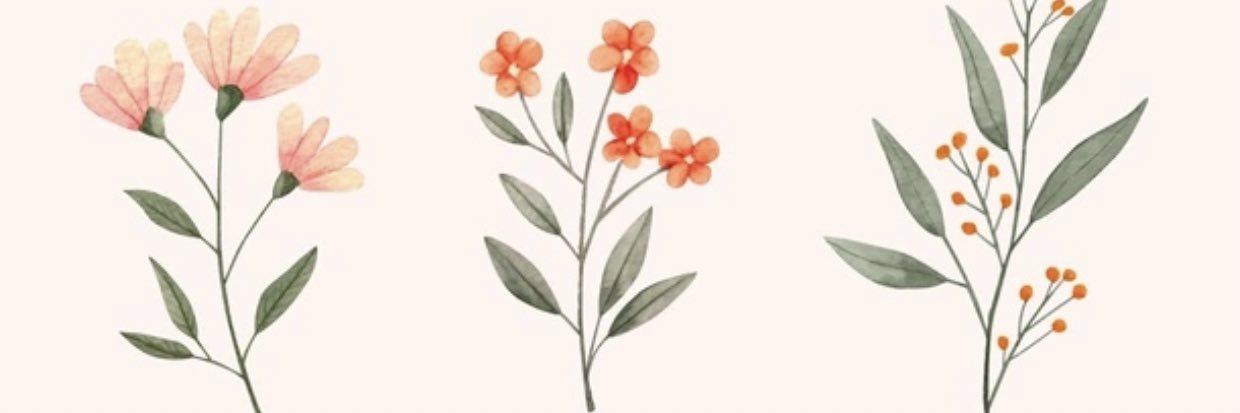 katiestrubbs's profile banner image