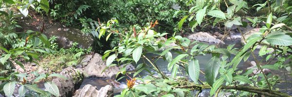 rmhs_mcnally Profile Banner