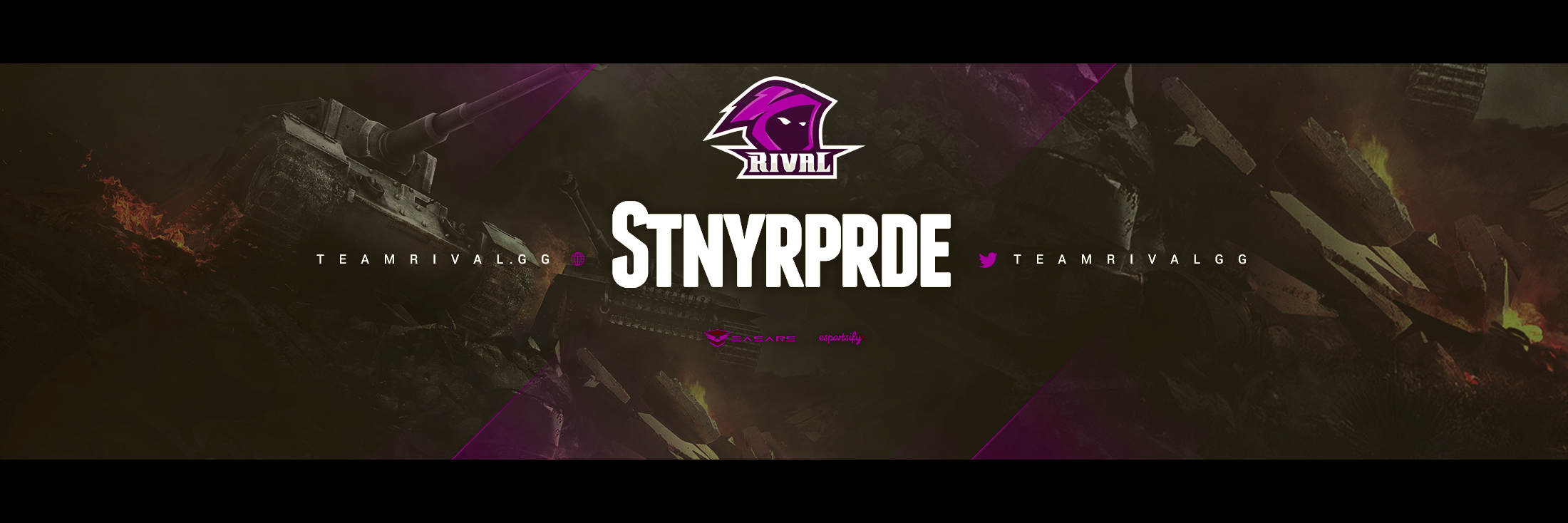 stnyrprde's profile banner image