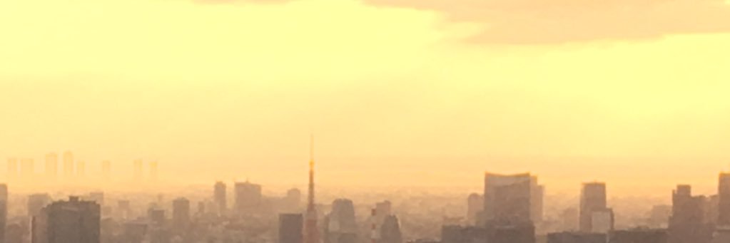 brztsl's profile banner image