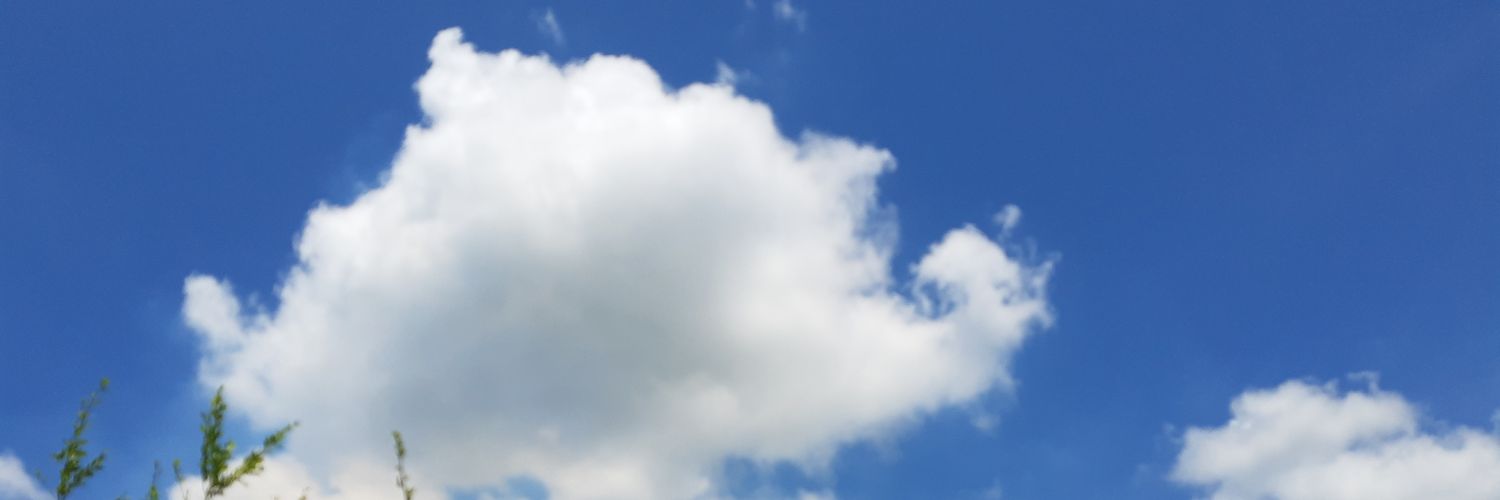 MitziPalmeros's profile banner image