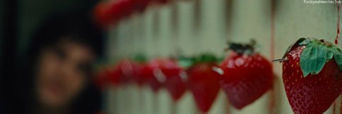 alanamadd's profile banner image